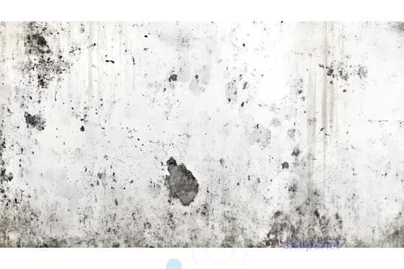 Grungy White Concrete Texture
