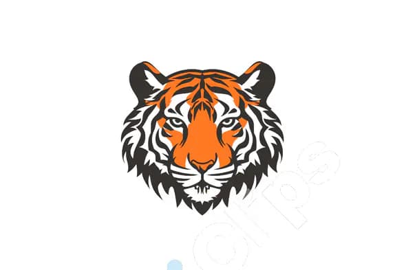 Tiger Head Illustration