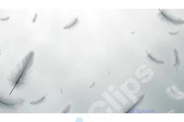 Soft Falling Feathers on a Gray Background