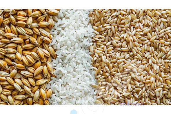 Assorted Rice and Grains