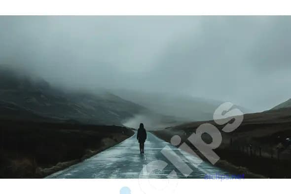 Walking Alone in Foggy Valley