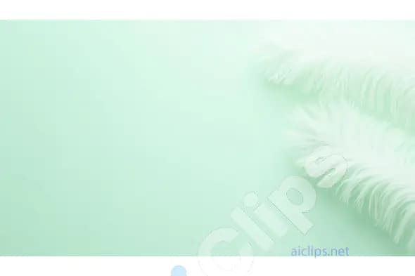 Soft White Feathers on Light Mint Green Background