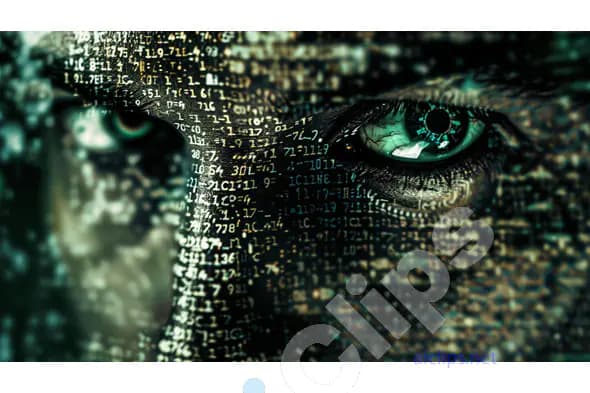 Digital Eye and Code