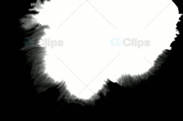 Expanding White Ink on Black Background