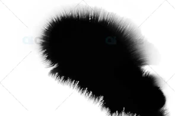 Expanding Ink Drop on White Background - Abstract Motion Graphic