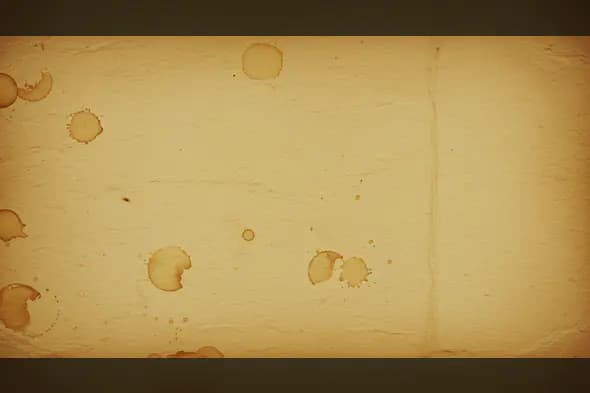 runge Vintage Paper Texture with Coffee Stains