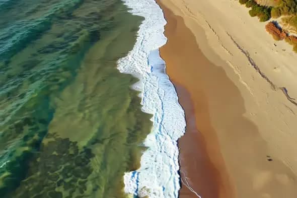 Aerial View of Ocean Waves Meeting Sandy Beach