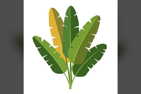 Stylized Tropical Leaf Cluster Vector