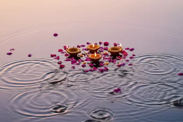 Floating Diyas with Rose Petals on Water During Sunset for Festive Ritual