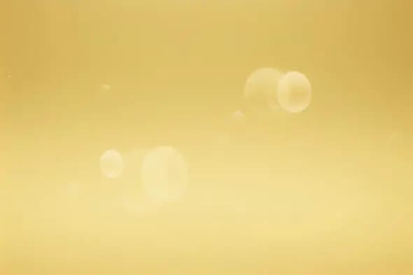 Ethereal Golden Haze Bubbles Floating Background Animation