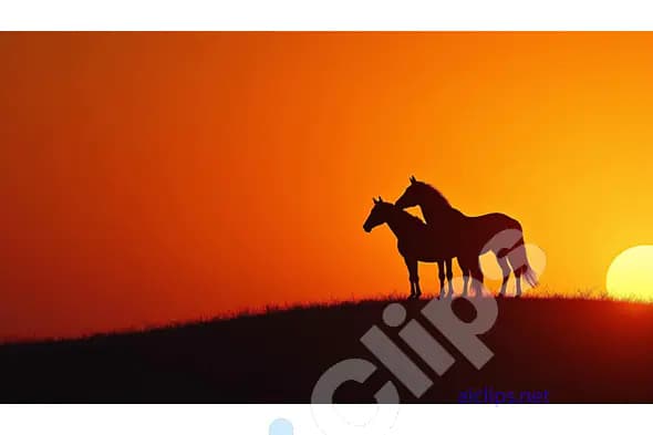 Silhouetted Horses at Sunset on a Ridge